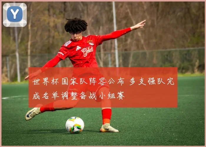 世界杯国家队阵容公布 多支强队完成名单调整备战小组赛