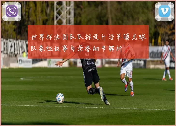 世界杯法国队队标设计沿革曝光球队象征故事与荣誉细节解析