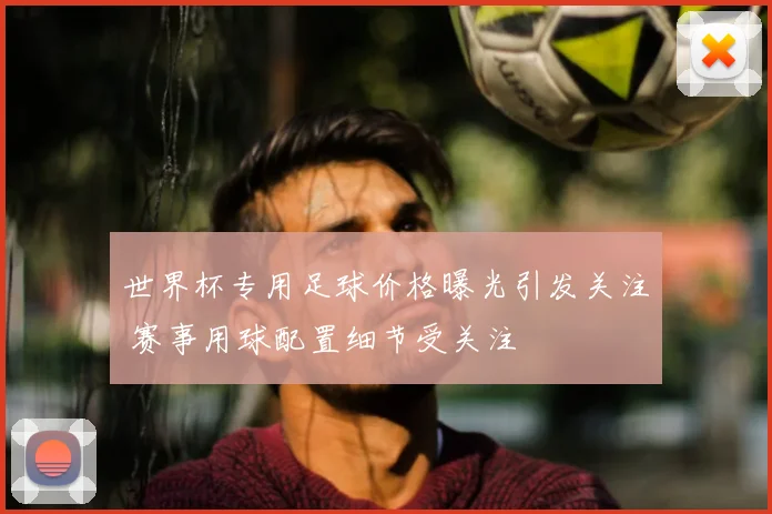 世界杯专用足球价格曝光引发关注 赛事用球配置细节受关注