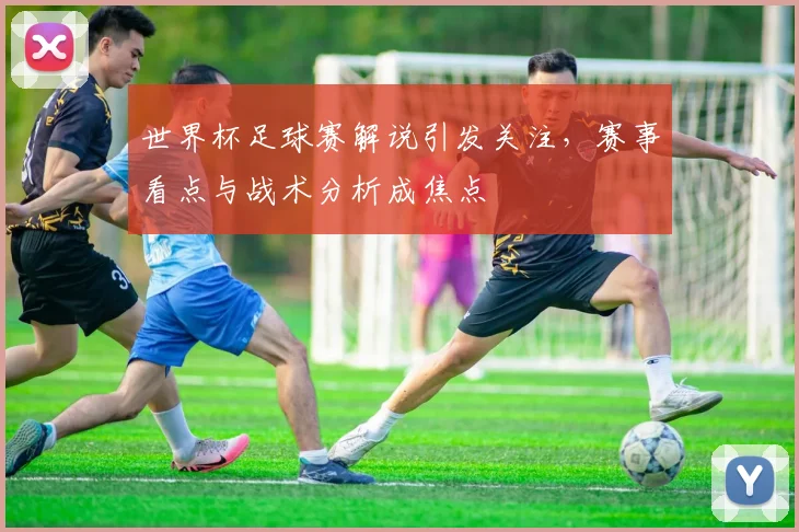 世界杯足球赛解说引发关注，赛事看点与战术分析成焦点
