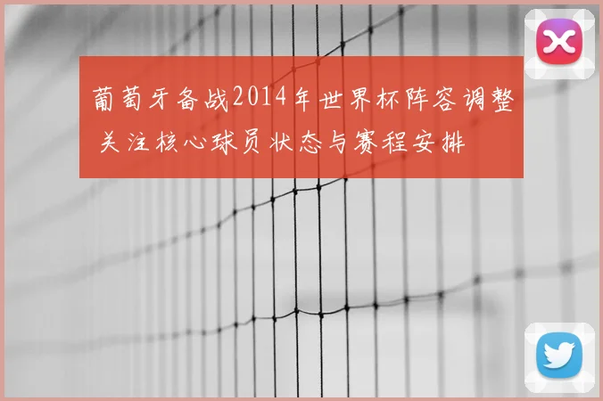 葡萄牙备战2014年世界杯阵容调整 关注核心球员状态与赛程安排