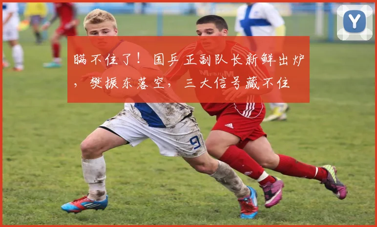 瞒不住了!国乒正副队长新鲜出炉,樊振东落空,三大信号藏不住