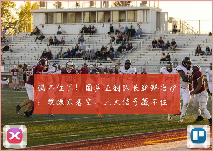 瞒不住了！国乒正副队长新鲜出炉，樊振东落空，三大信号藏不住