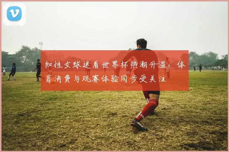 知性女球迷看世界杯热潮升温，体育消费与观赛体验同步受关注