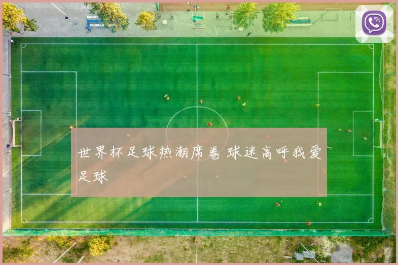 世界杯足球热潮席卷 球迷高呼我爱足球